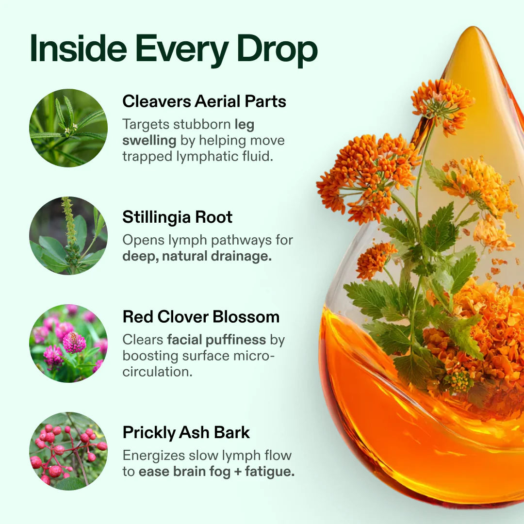 Lymphatic Drainage - Wellness Drops
