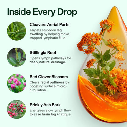 Lymphatic Drainage - Wellness Drops